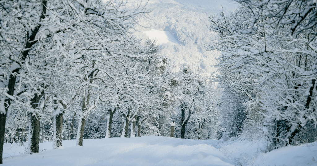 Baby It’s Cold Outside Themed Baby Shower Ideas