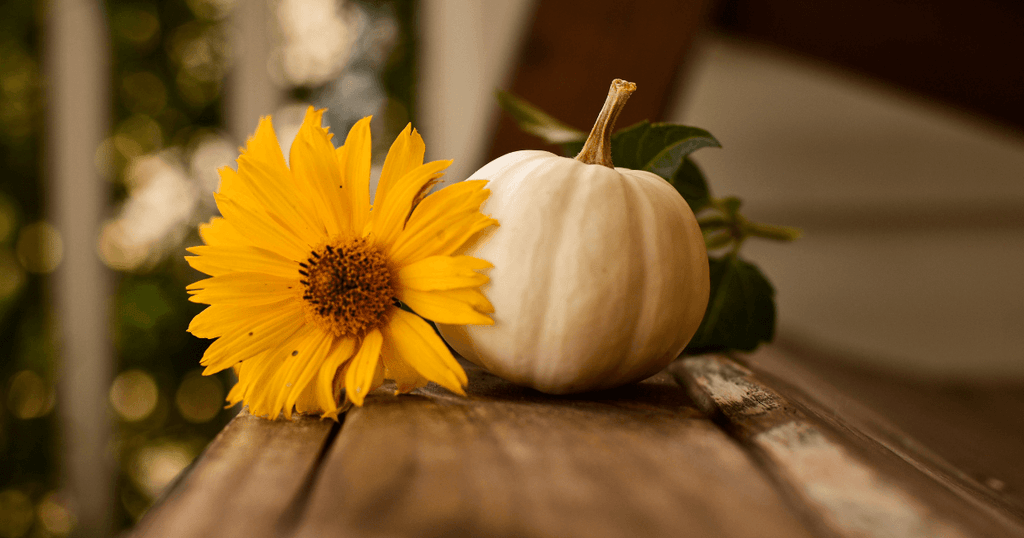 Floral Pumpkin Themed Baby Shower Ideas